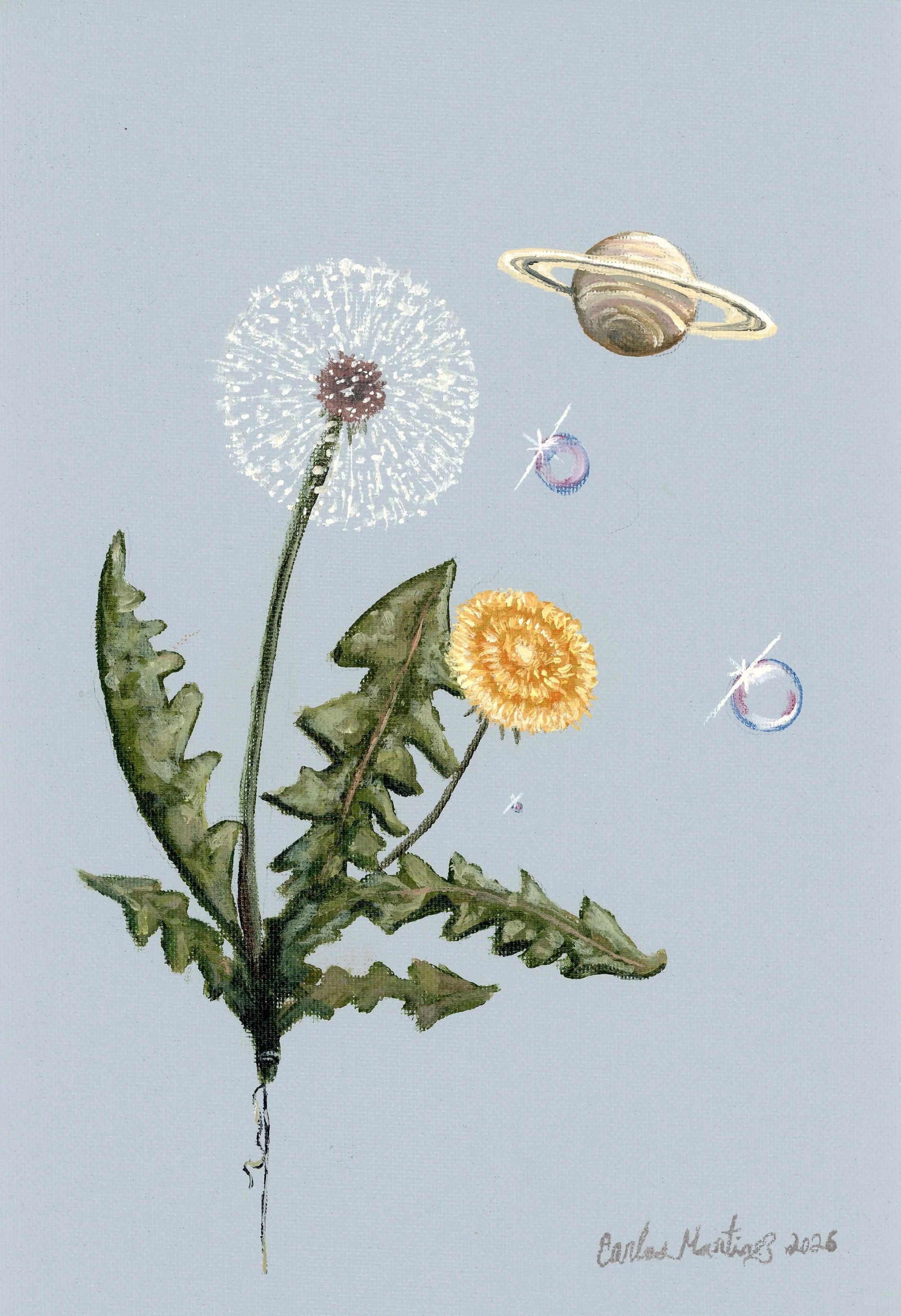 In Bloom and Then Some Web.jpg