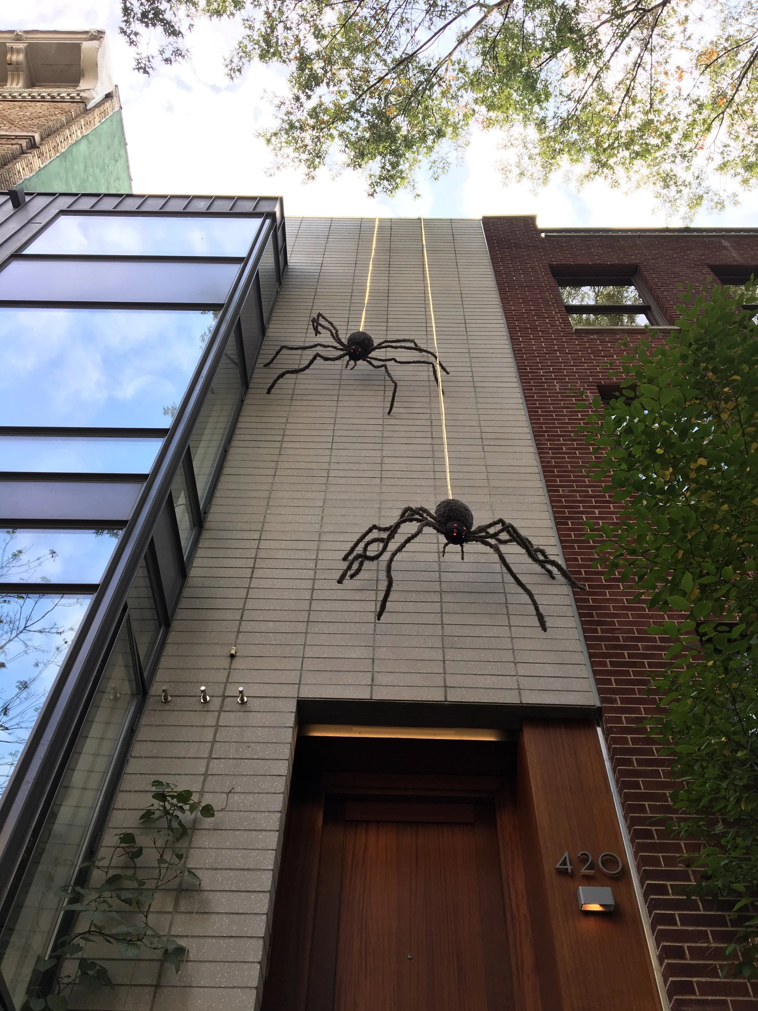 They really need to call the exterminator. 