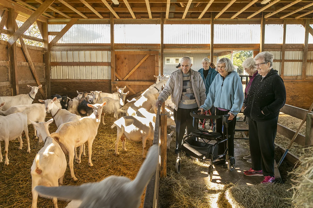 Petting goats at a local farm!