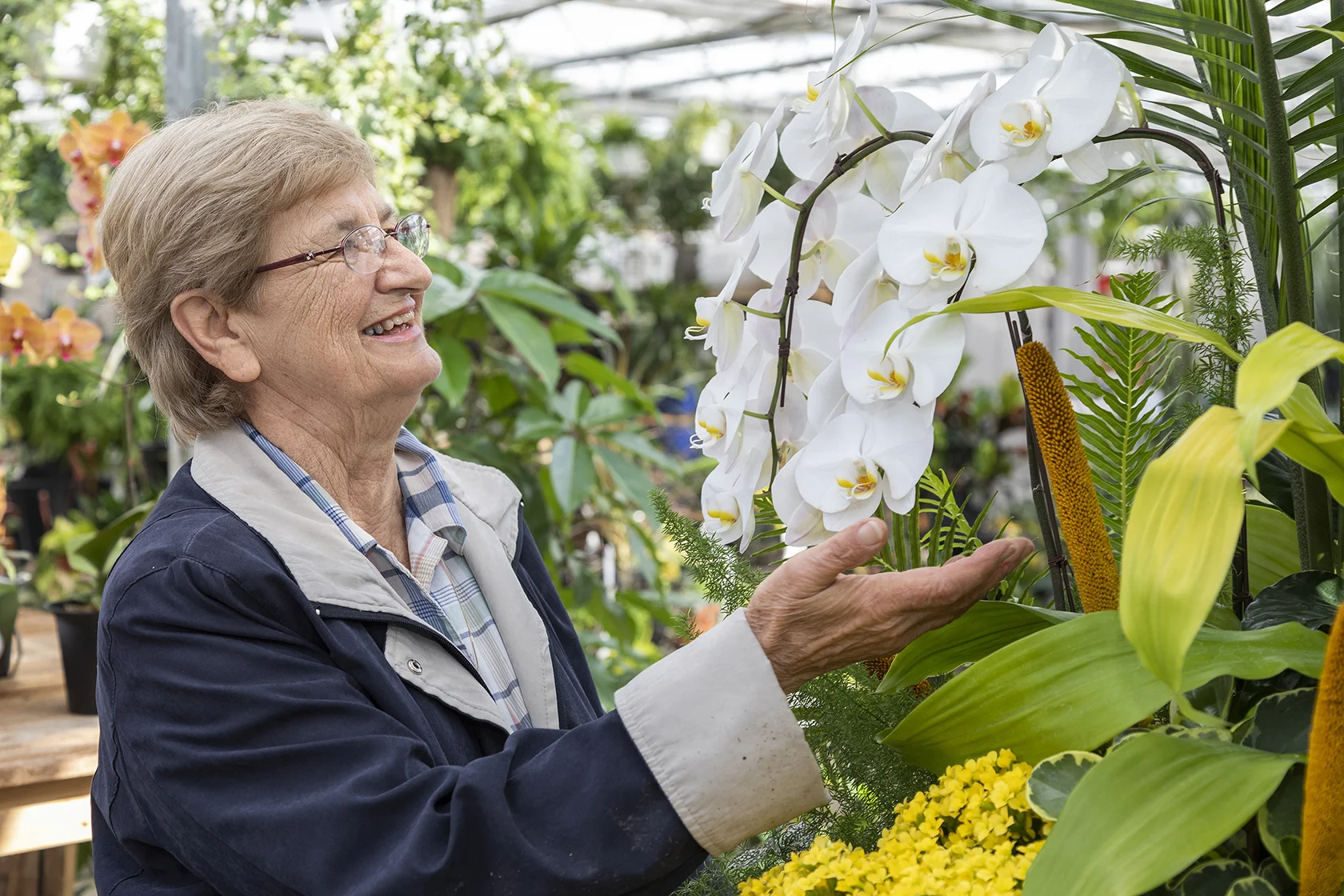 Looking at flowers at a beautiful nursery