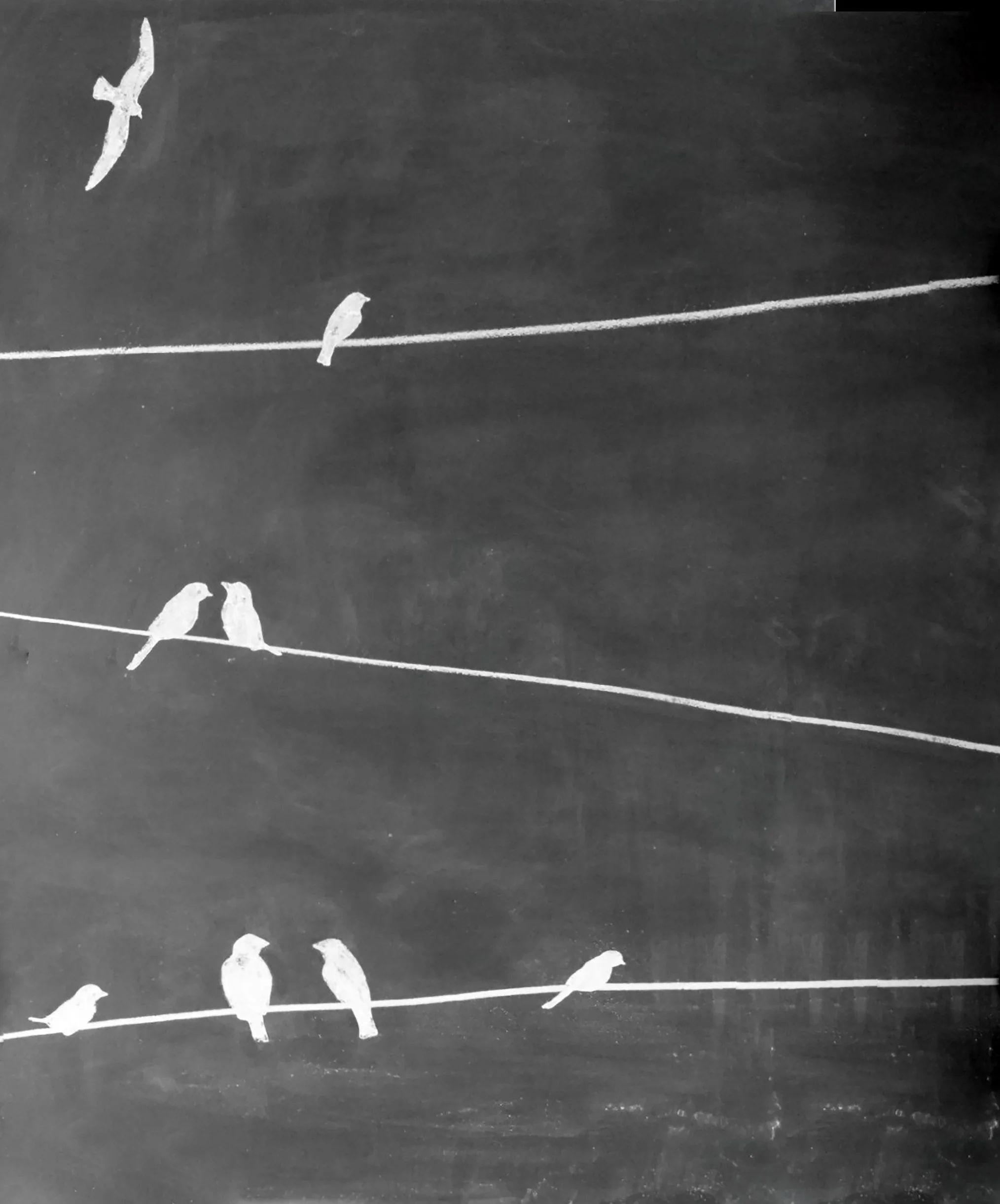 Bird Chalk Board RelaxExtended2Bird.jpg