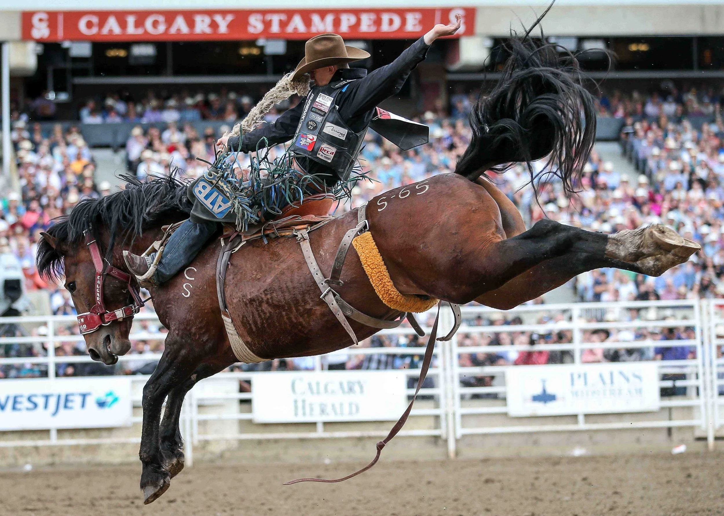 Don't Let Your Desk Buck You Off: Office Ergonomics for Stampede Week