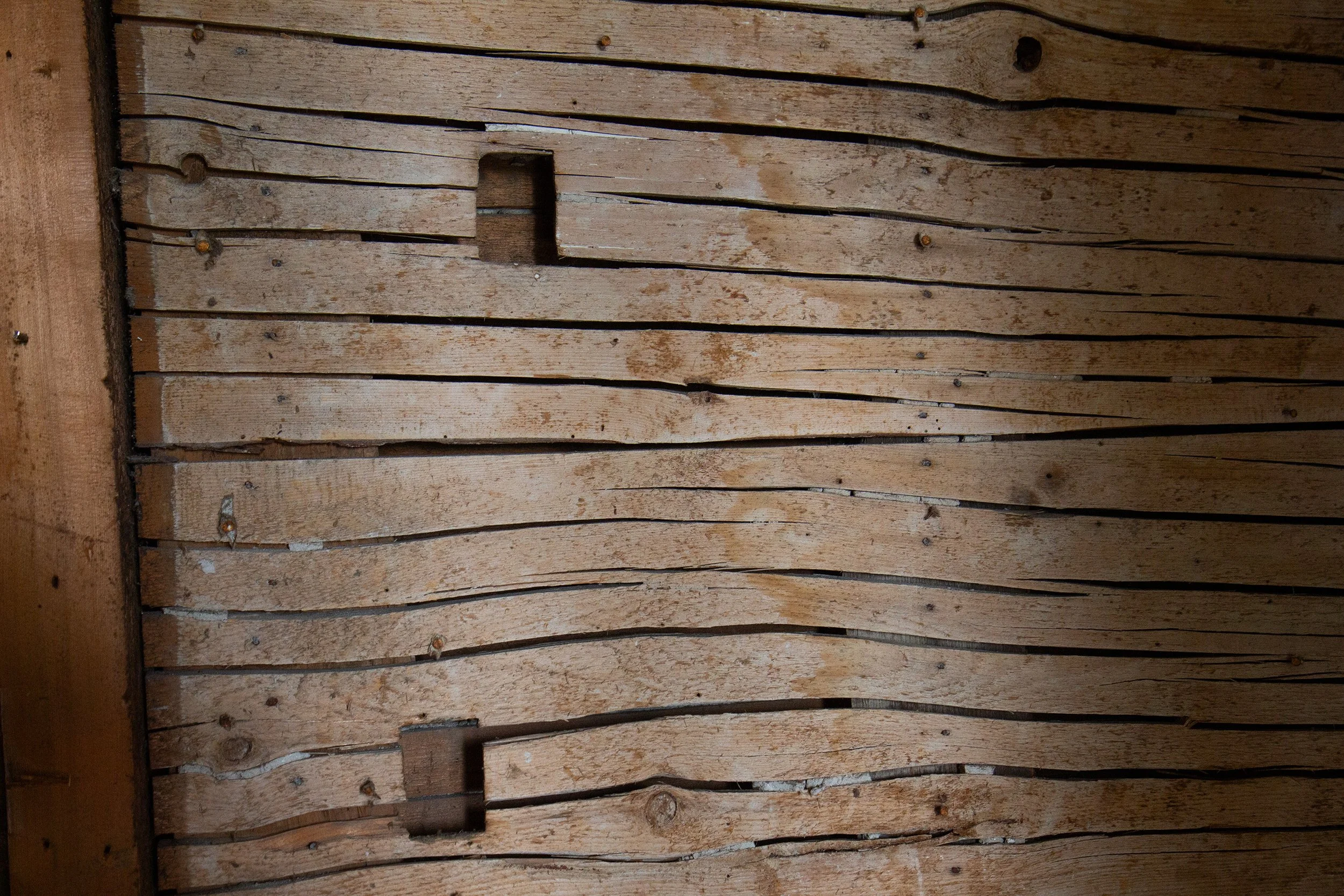 split-lath-boards-vermontpublic-reed-20250805.jpg