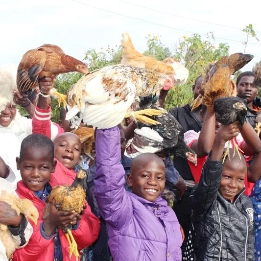 Chicken for a family in our program$20 each