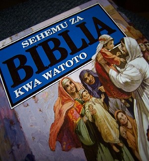 Children’s Bible in Swahili$12 each