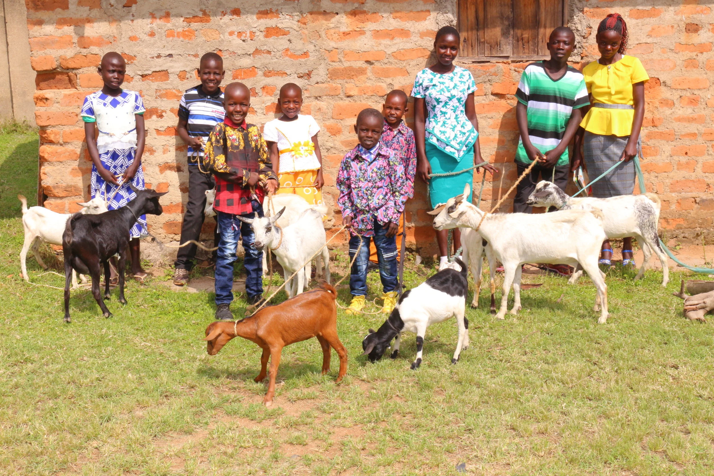 12-2018 Goats - Gladys N  Arnold Emmanuel M Paloma Joseph Jayden Grace Walter Elizabeth.JPG