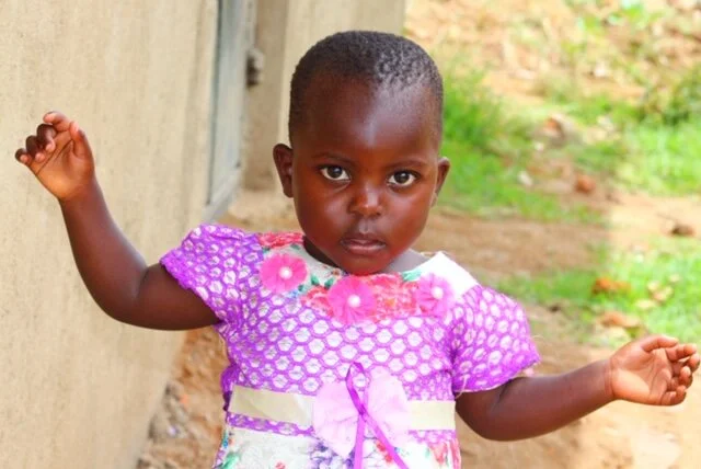 VOLLEN-SHELL (GLADYS)