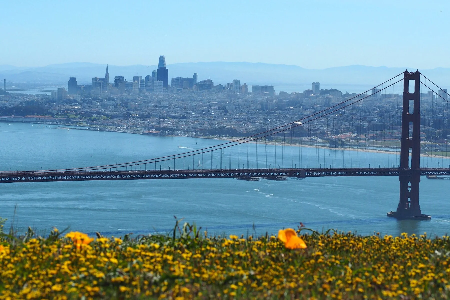 San_Francisco_from_the_Marin_Headlands_in_March_2019.jpg