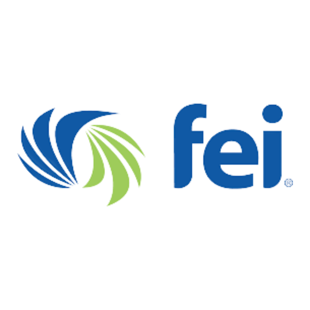 FEI_Financial_Network_Logo_International_Connector.png