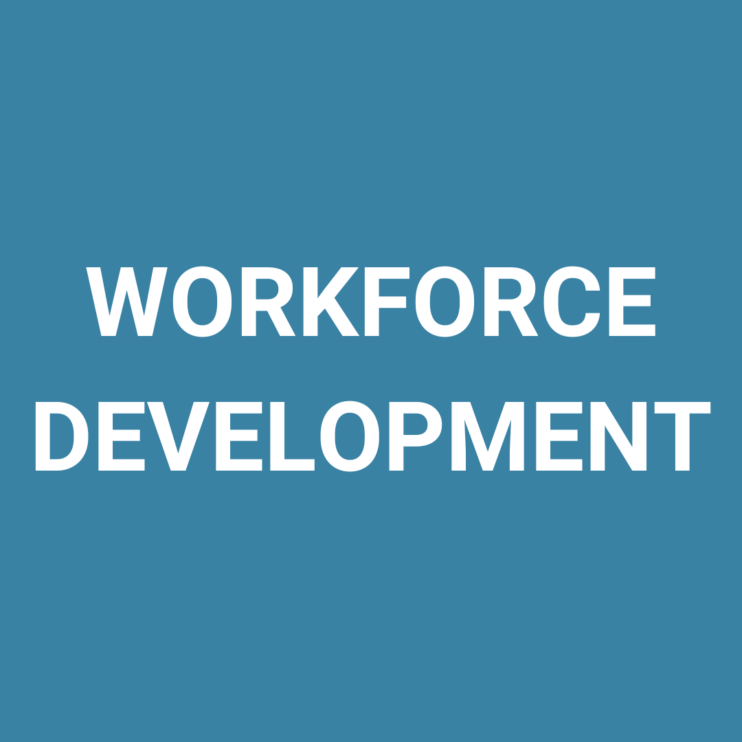 International_Connector_What_We_Do_Workforce_Development_Solutions_Bold_link.png