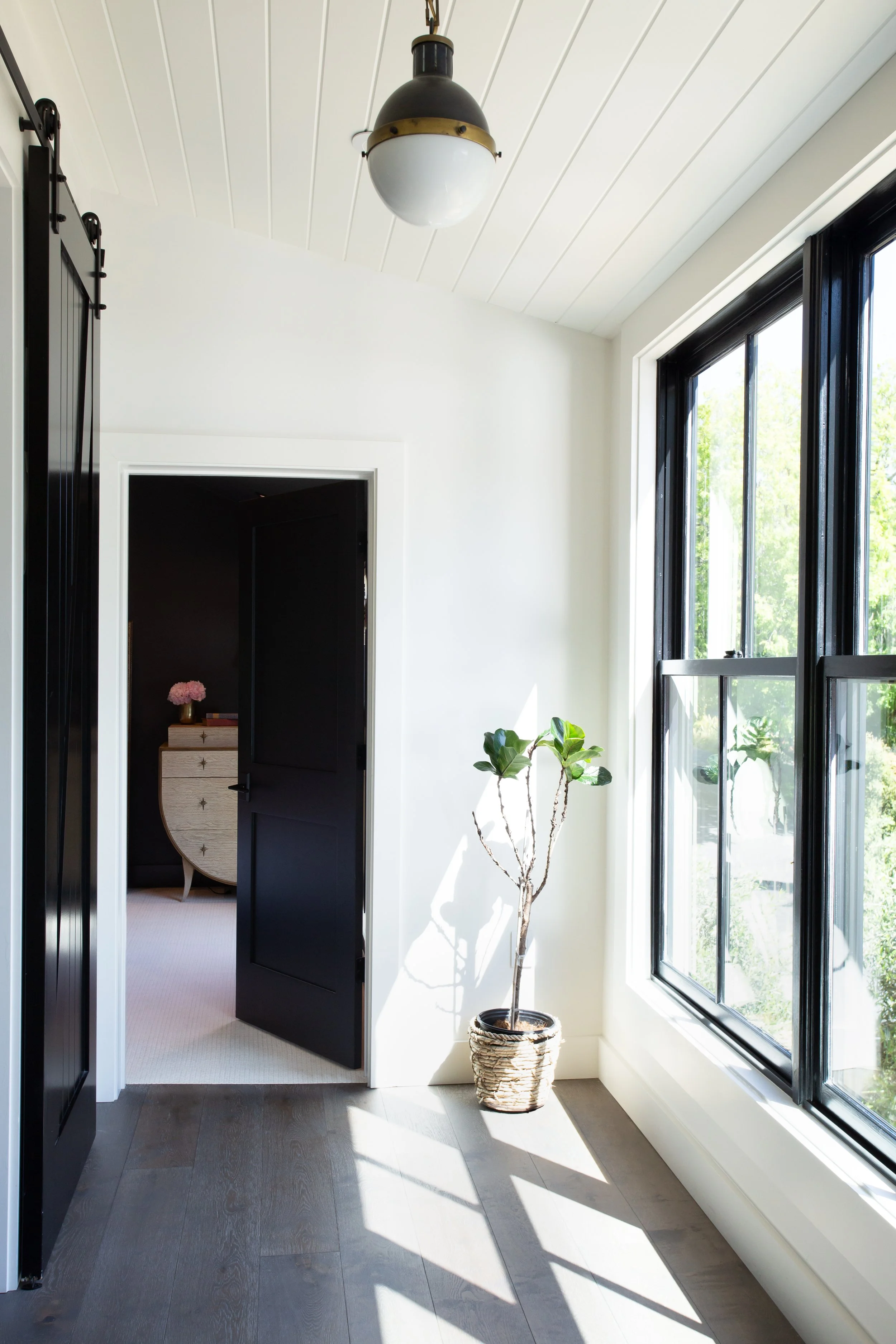brodie-4.jpg