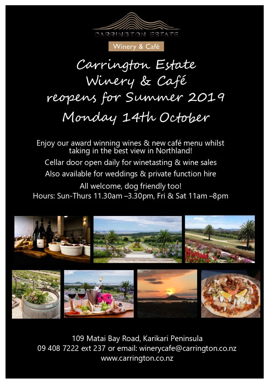Draft 1 winery reopening 2019.jpg
