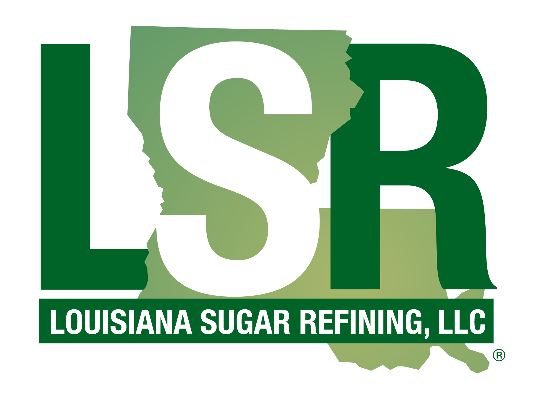 hi res LSR logo C (1)-2.png