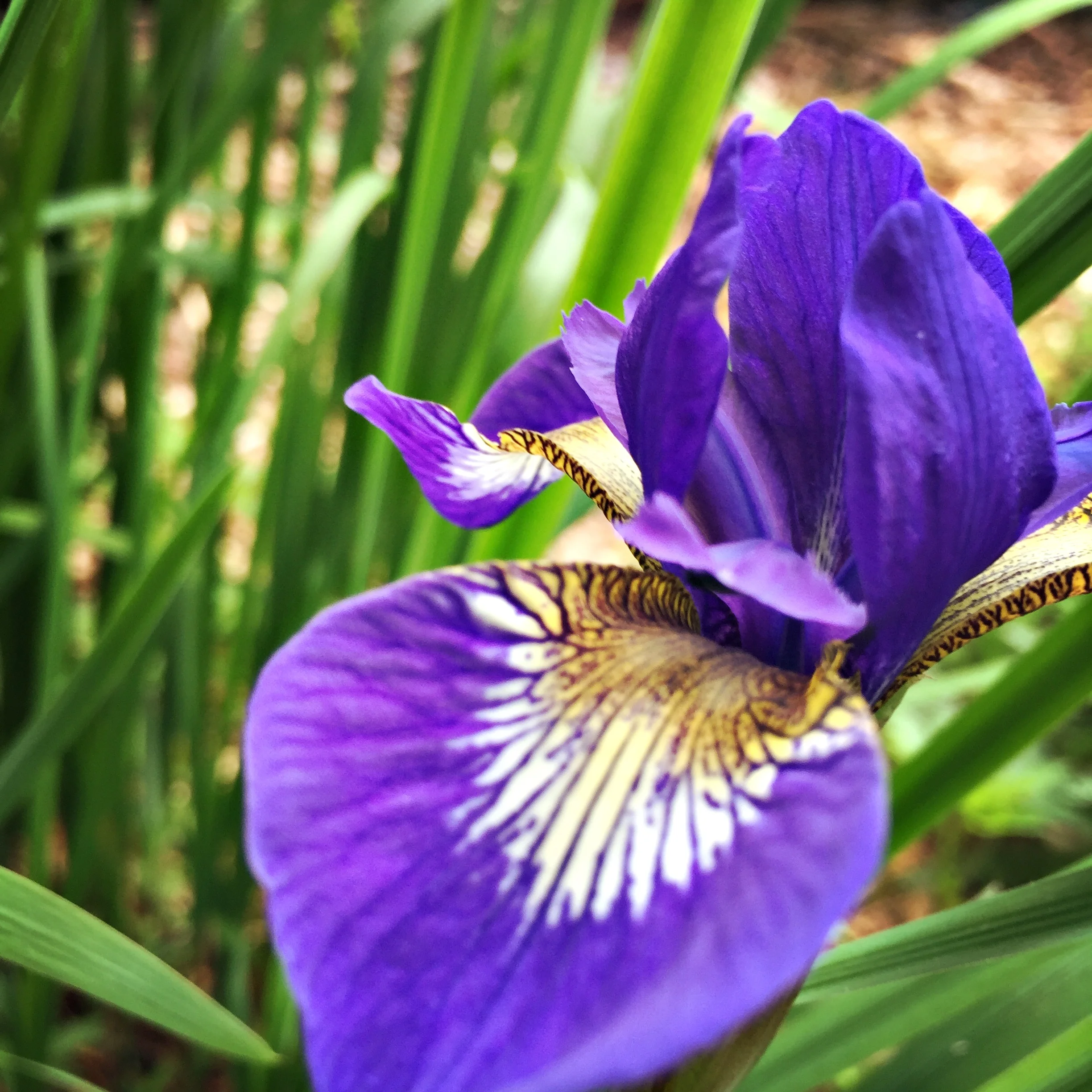 2016-04-28 09.46.25.jpg