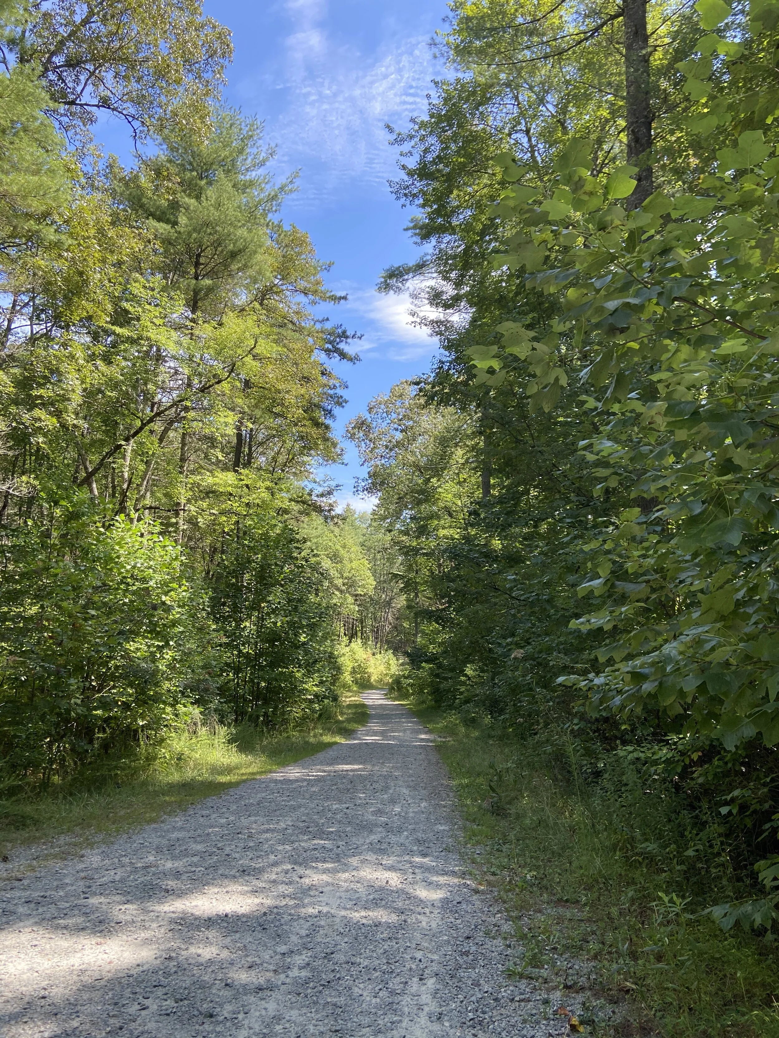 2020-09-05 12.38.26.jpg