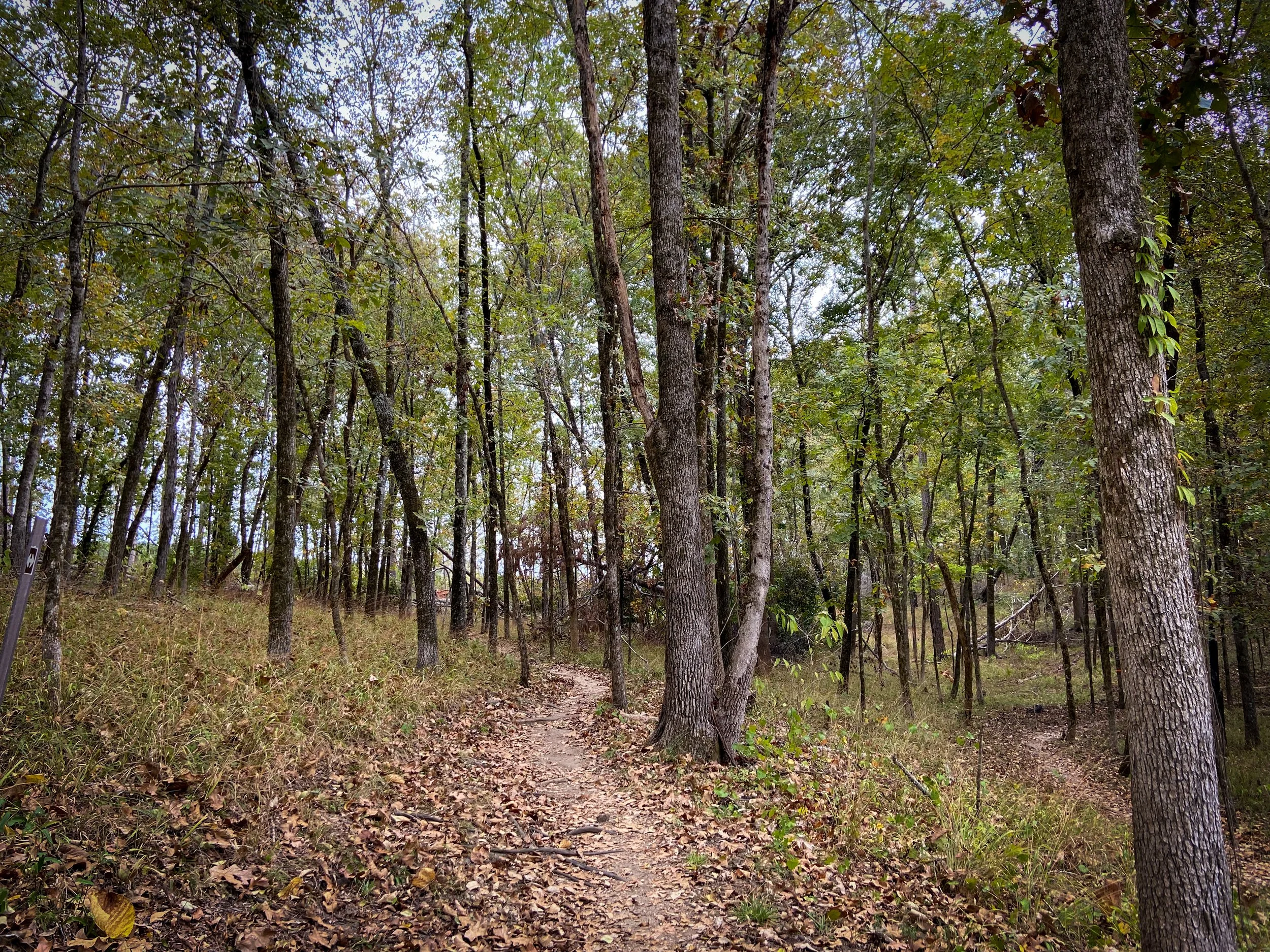 2025-10-11 12.50.36-1.jpg