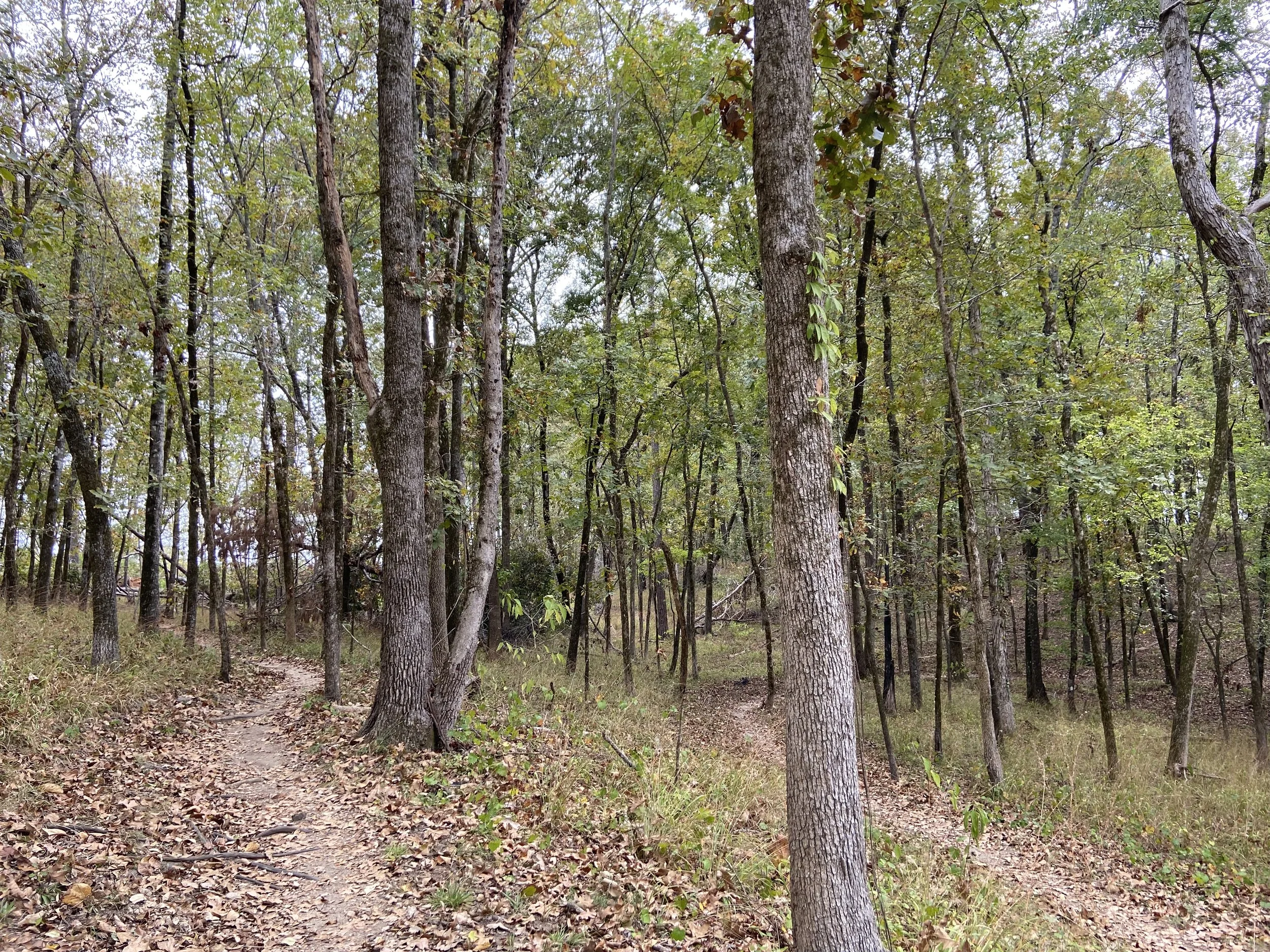 2025-10-11 12.50.40.jpg