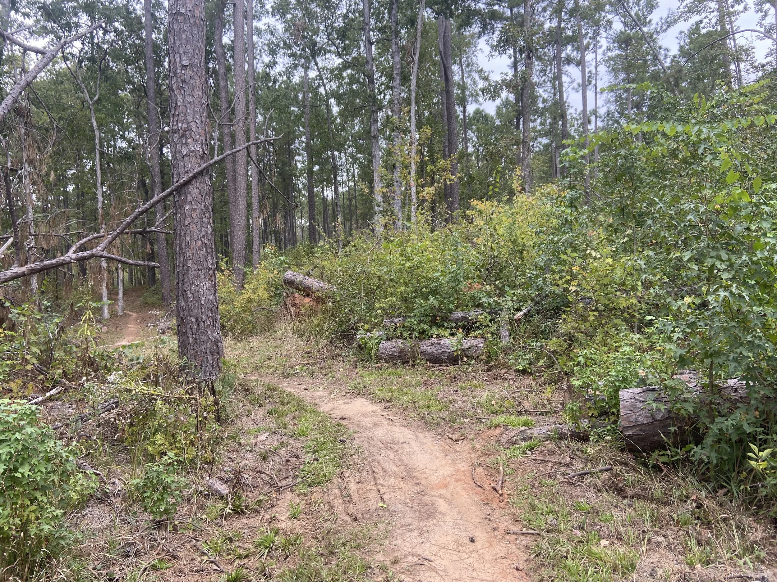 2025-10-11 13.44.57.jpg