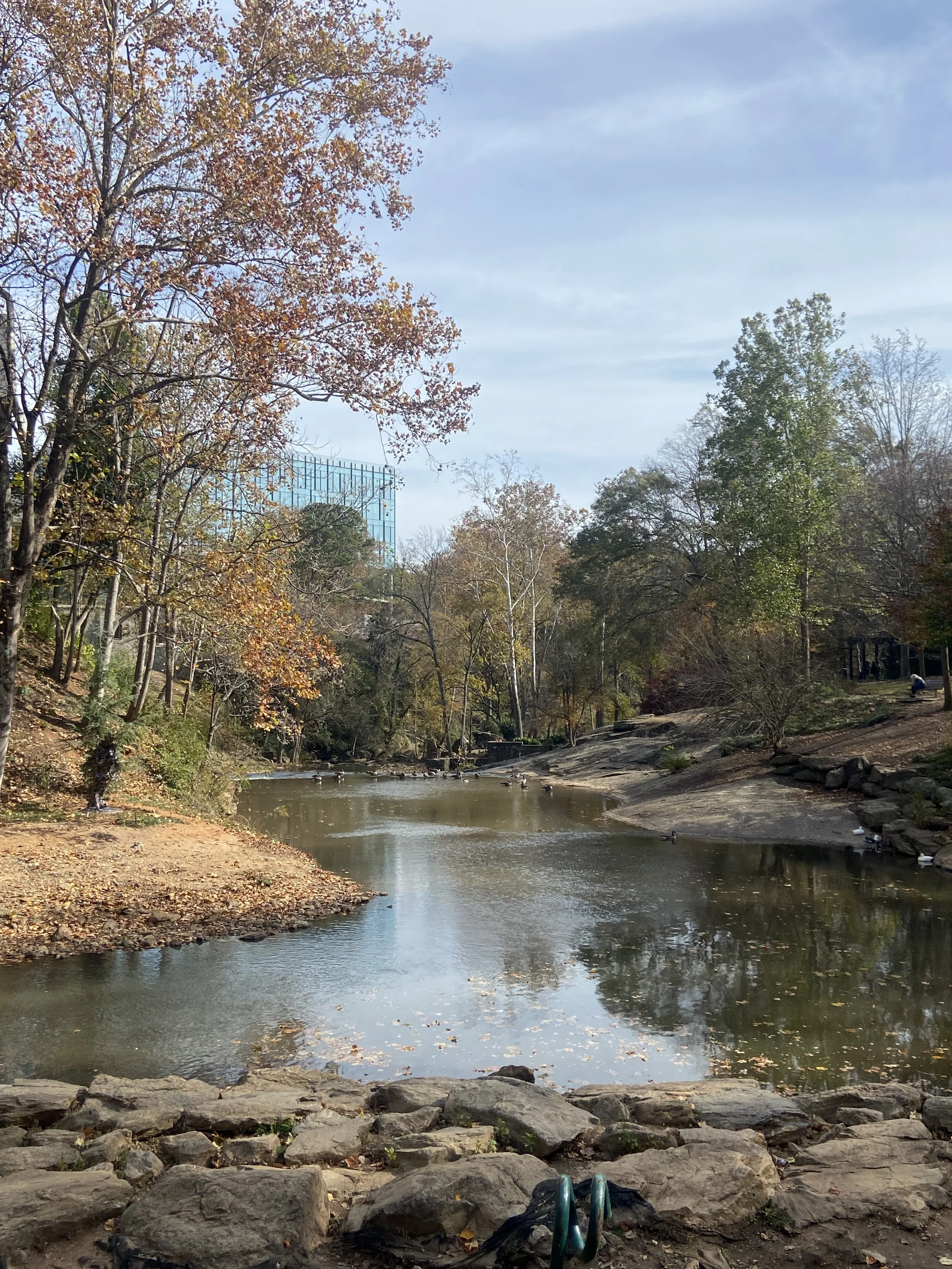 2025-11-15 12.53.56-1.jpg