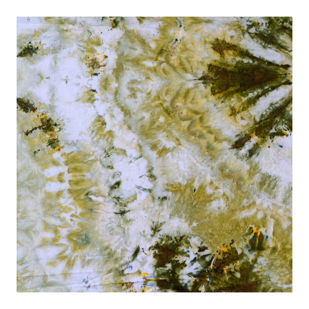 980B9A5E-F343-480E-893D-9C5B04CB402E.png