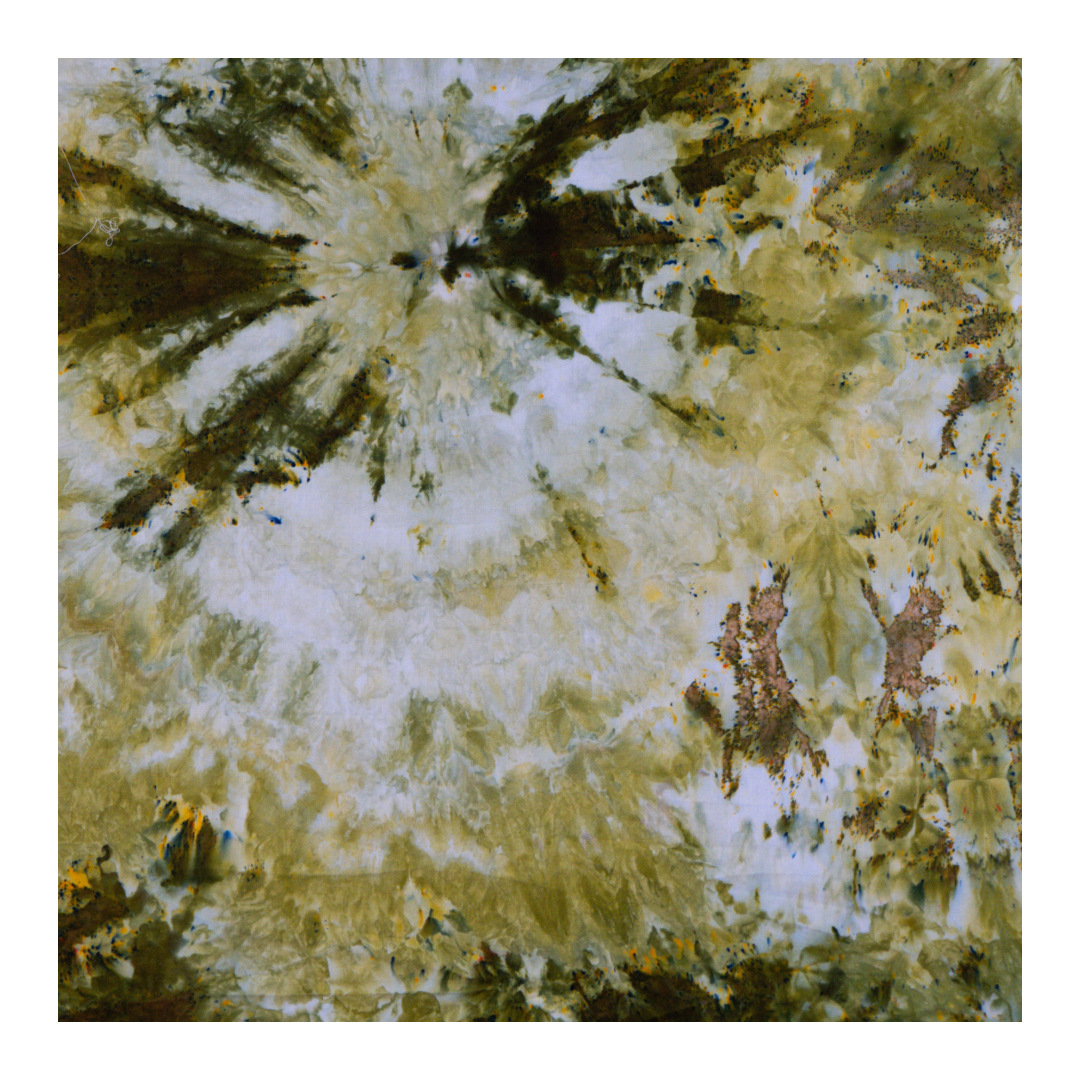 EB76CA80-10DF-4A99-B0A5-479D03E6B8FC.png