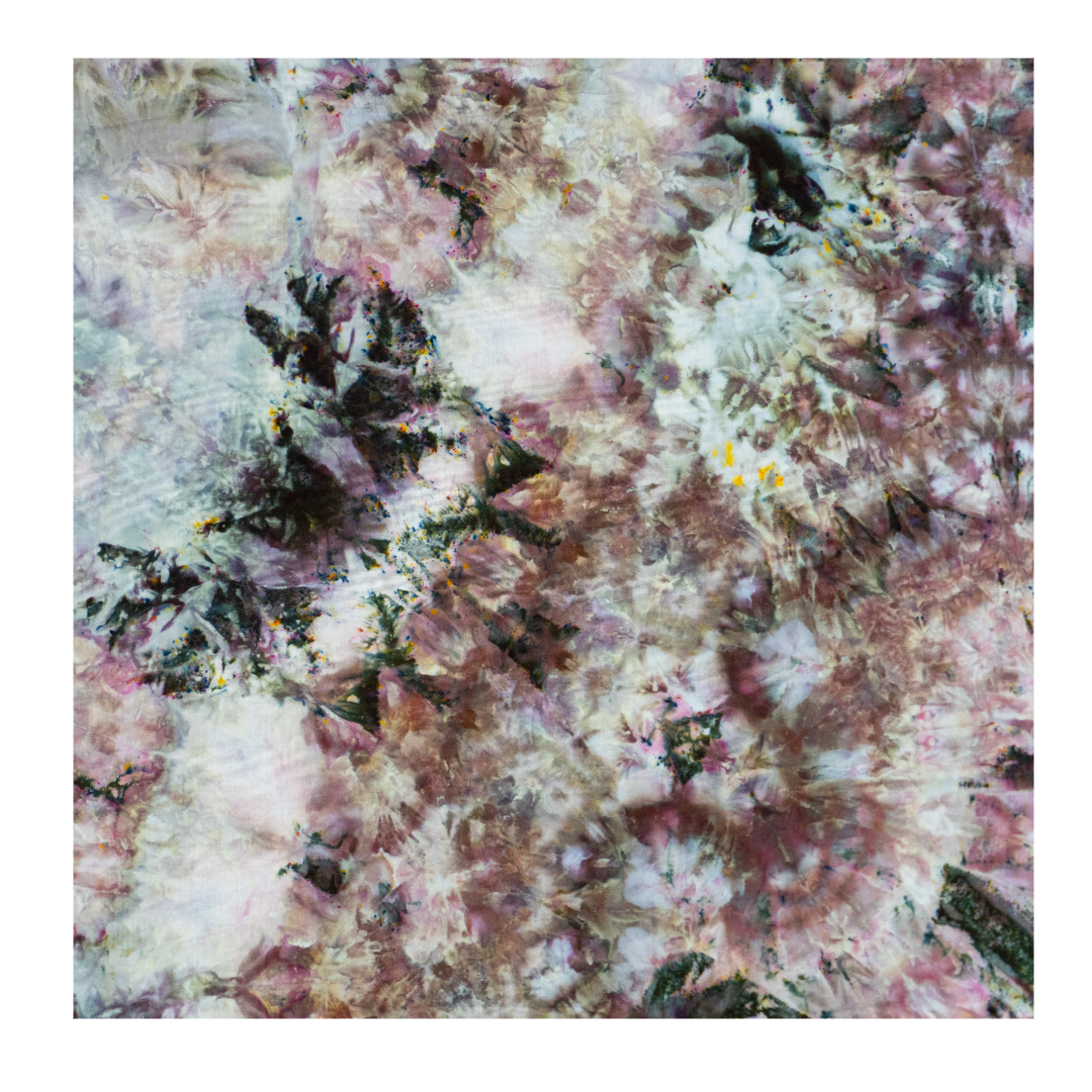 EBEF69DD-9D5B-4F65-A48C-B06E09F596DD.png
