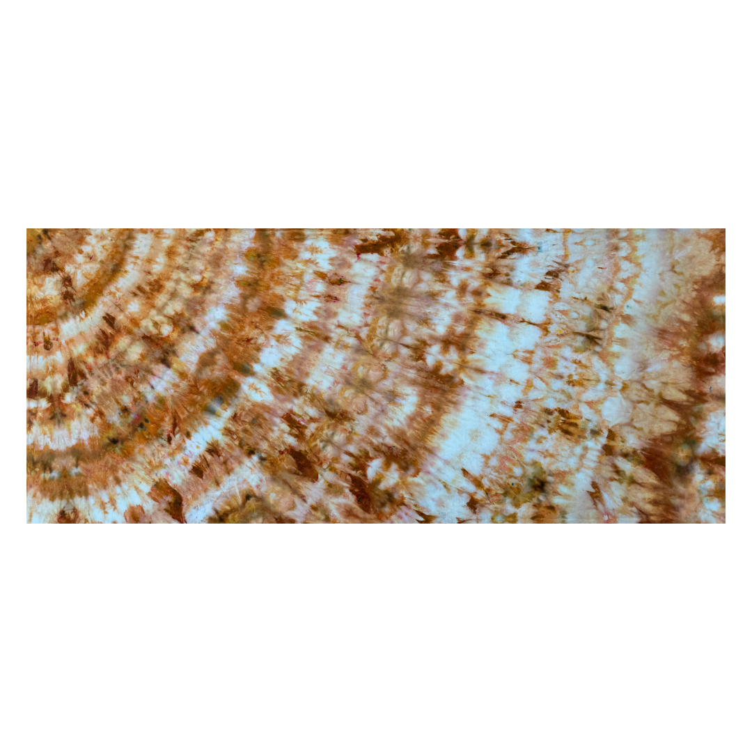 3B83EE1B-D532-4A6A-B62A-7F6858331F8B.png