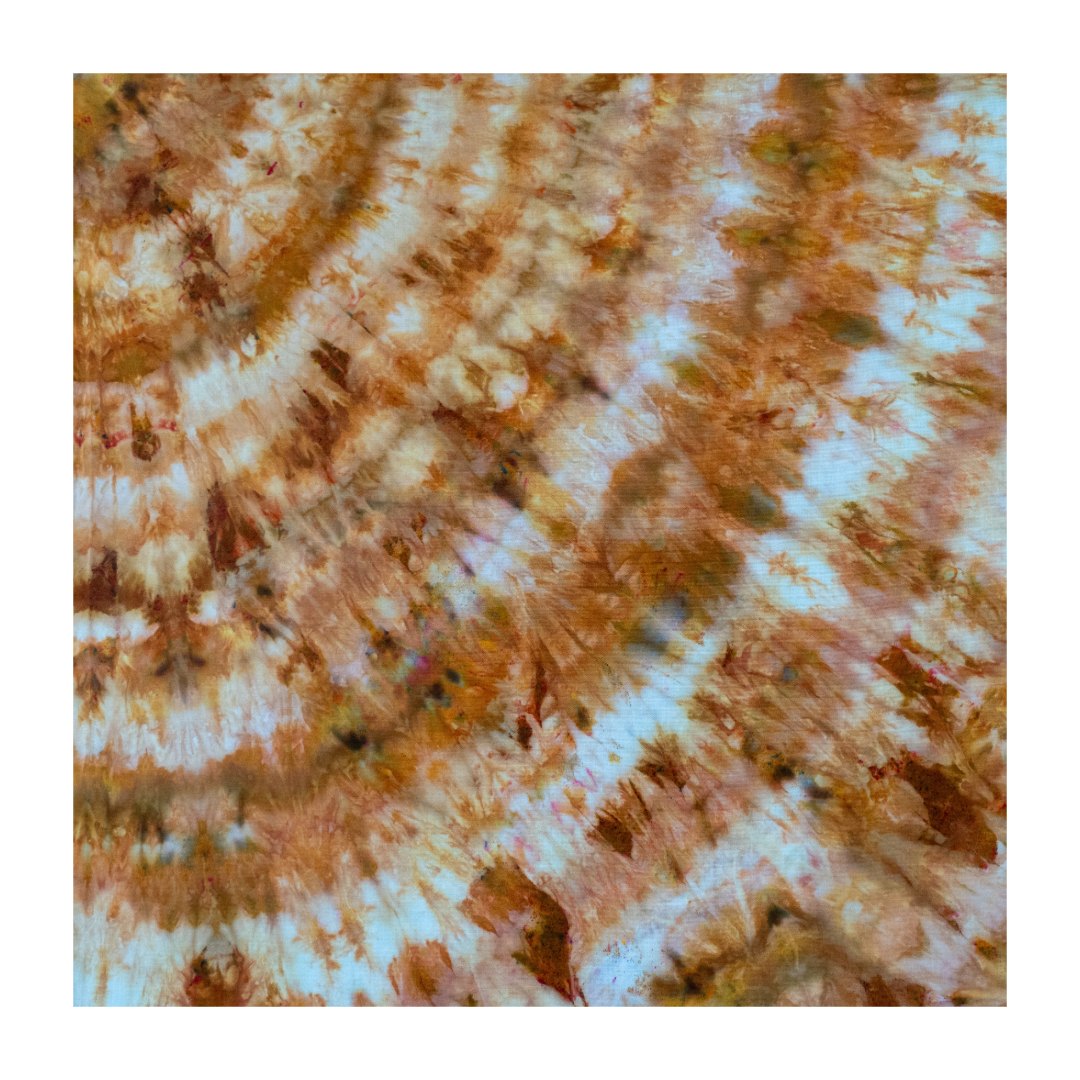 FBB85004-DFFD-4287-AC21-1001977F04BE.png