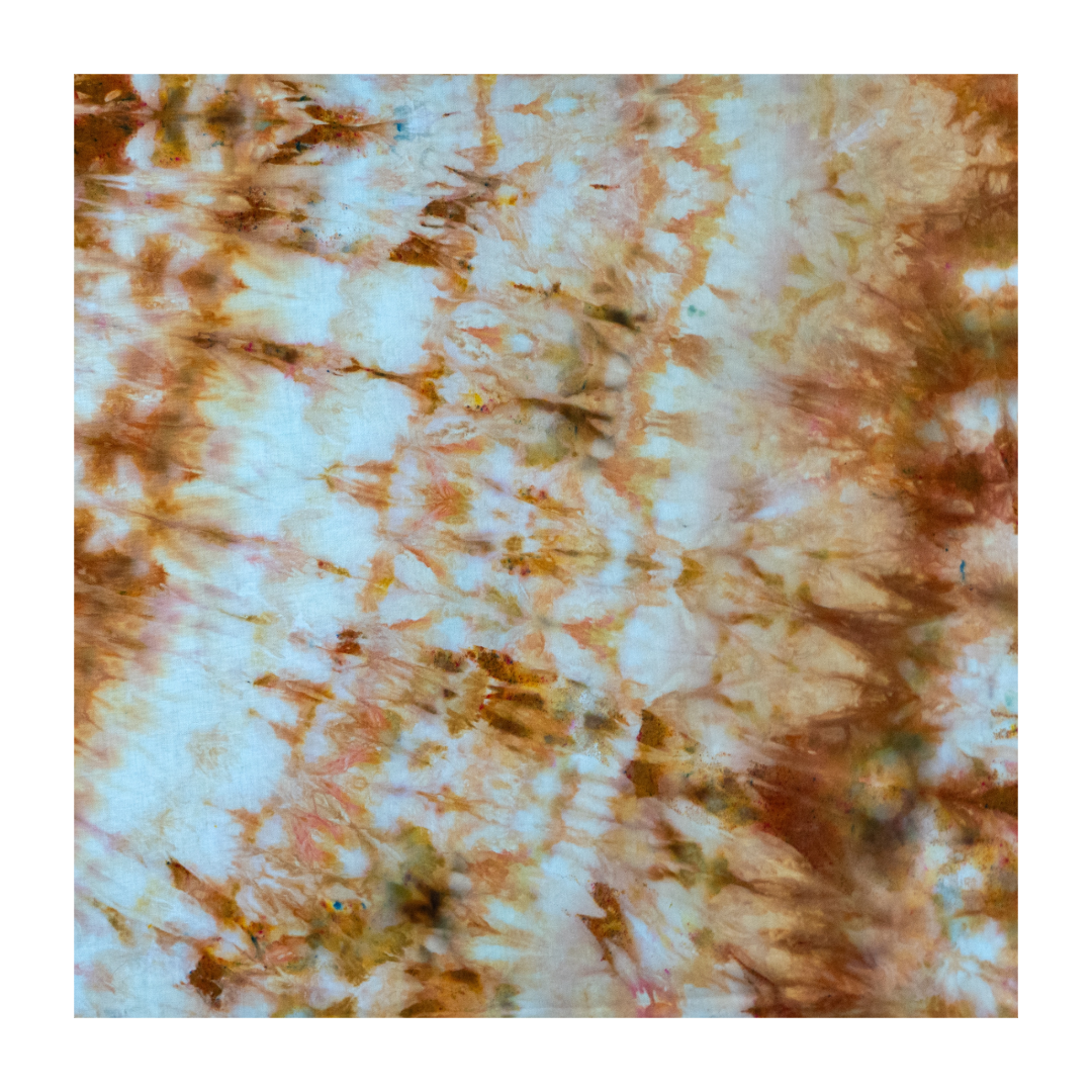 554CB354-4C45-4A8C-A6C6-87AB3AAC7A5C.png
