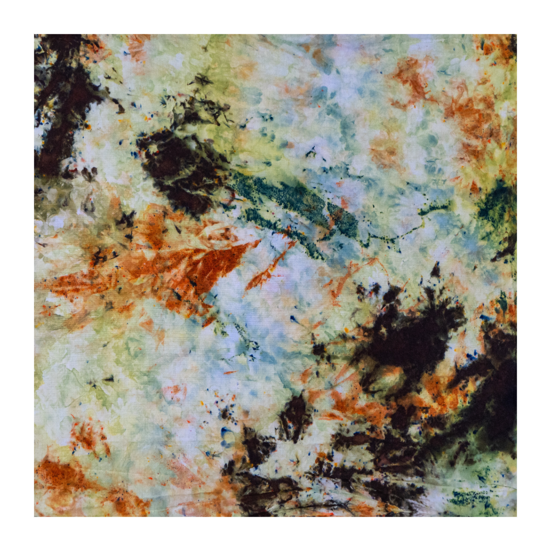 5A927095-E083-4149-BBB9-9668C9131912.png