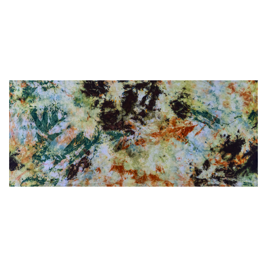 42377AEC-37F1-461A-AED1-7073F5D5468D.png