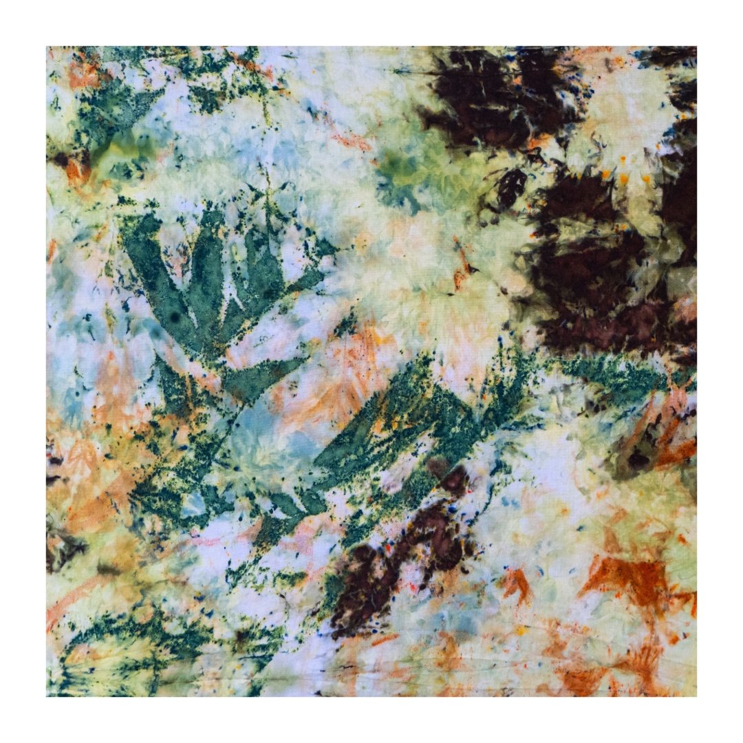 6DD99D90-7F5D-41F5-BD67-AA931F10F26C.png
