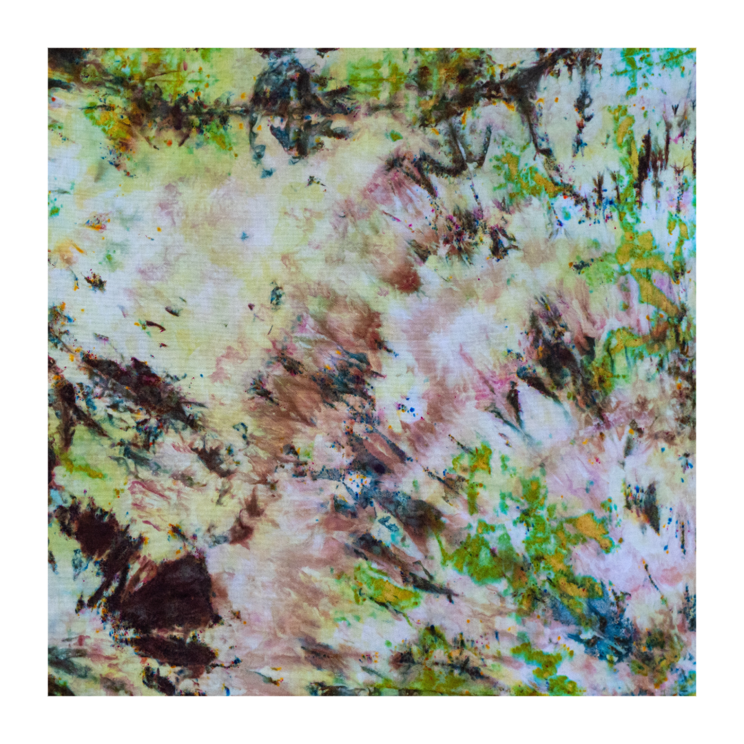 2FC918AF-DFBB-4169-AB85-E3303A25E040.png
