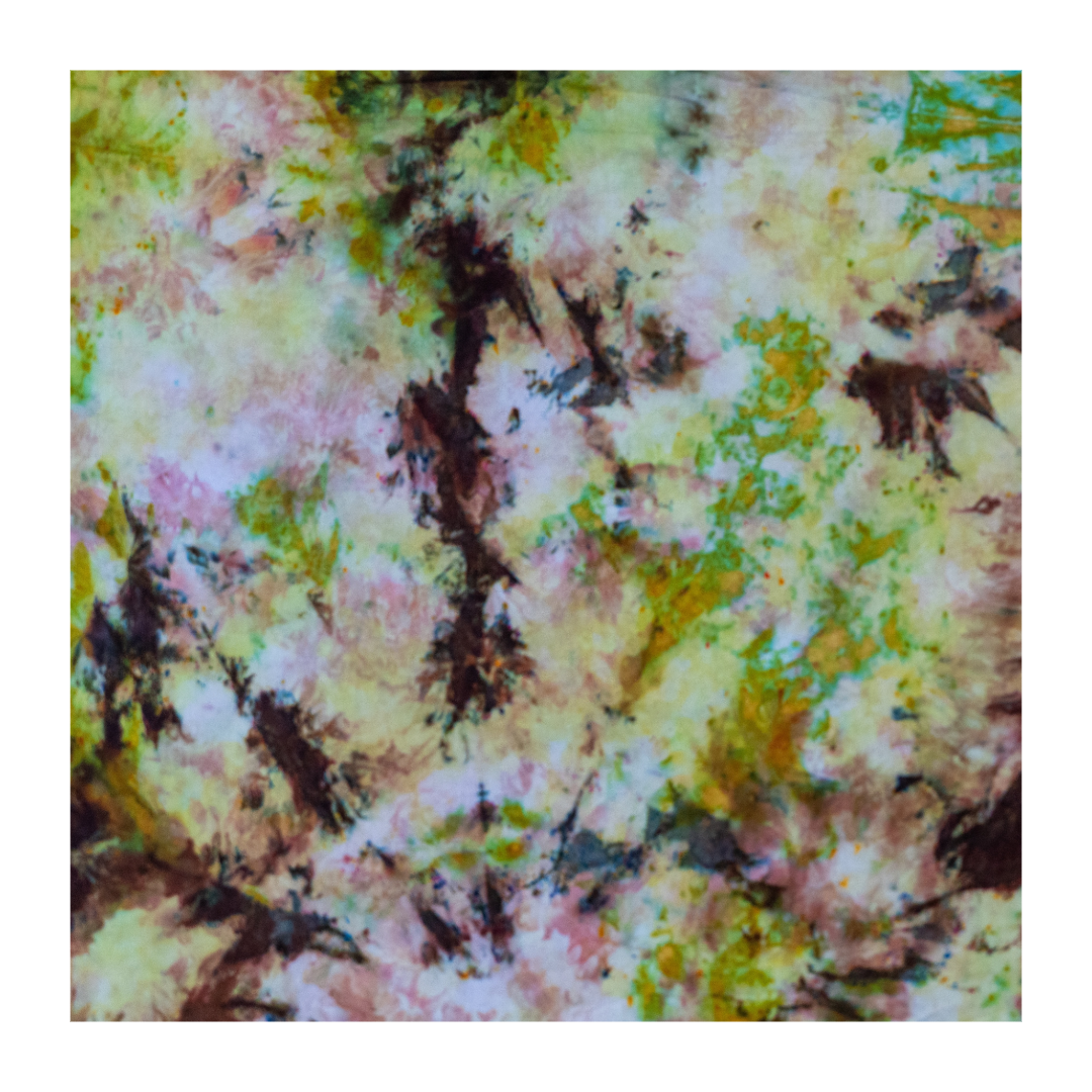 E6936FA9-0013-41C1-9189-2E110BC7D830.png