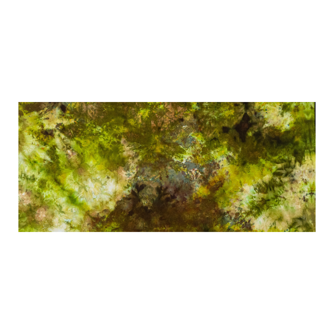 F473C30D-3099-4435-A942-8E6622159EAA.png