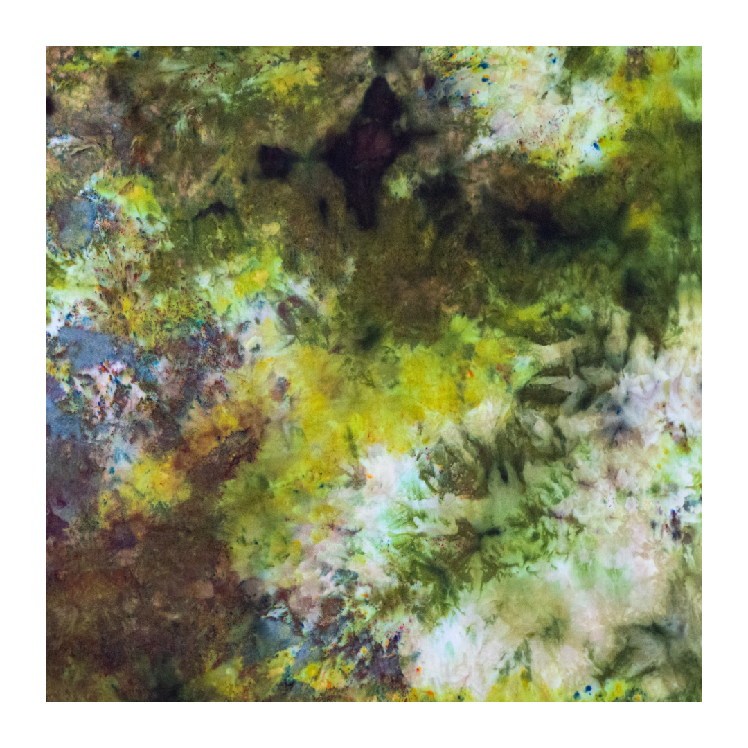 2BA8F985-54AB-4CD0-AFF6-BFBEF10153B9.png