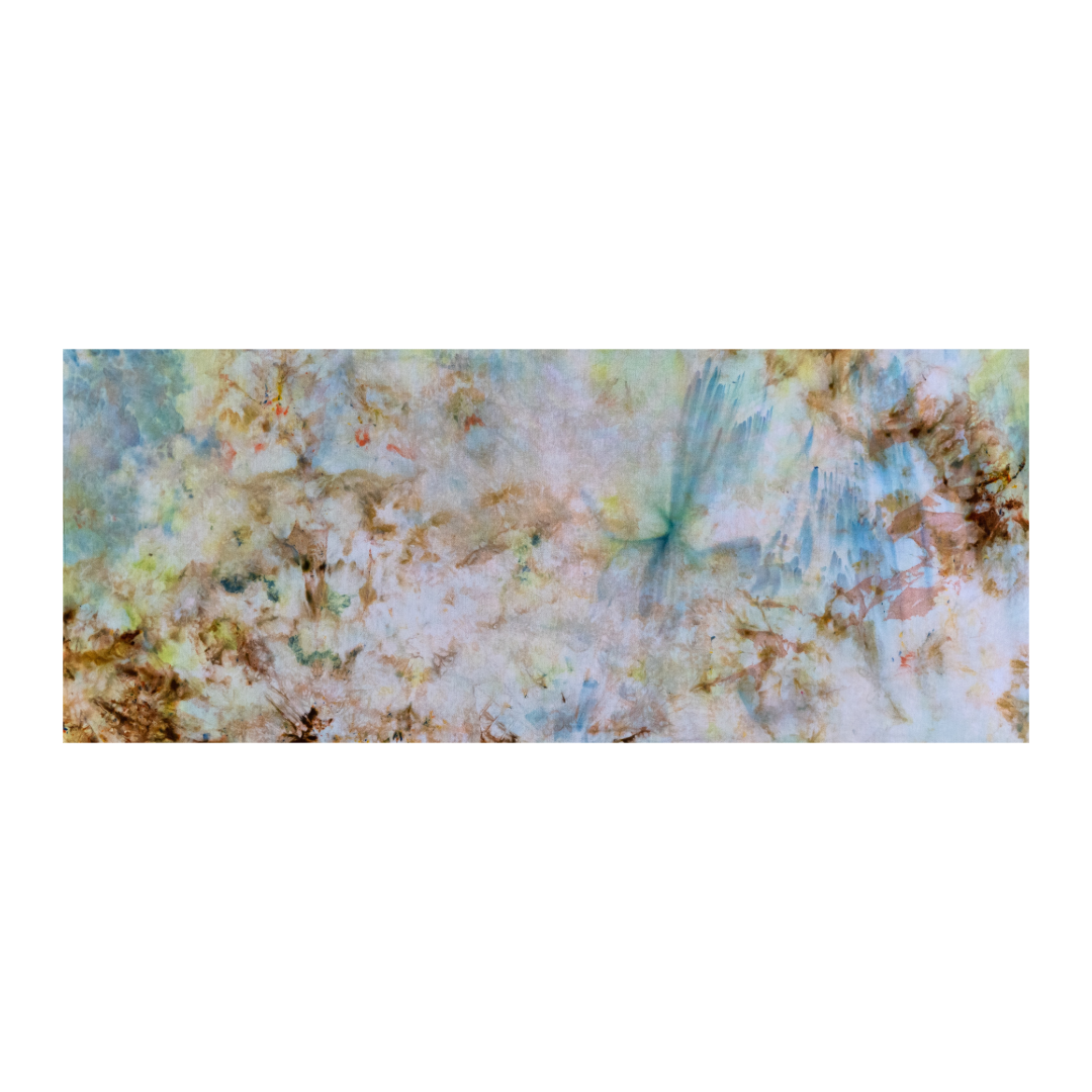 1B72B477-EE94-4052-97A7-02734904D3AF.png