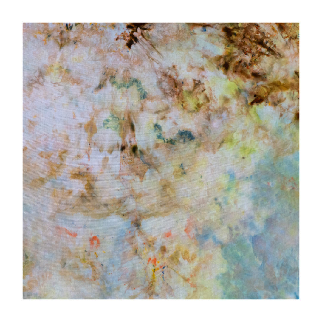 B90E244E-BA46-4B44-B1F6-2F7D9D809D26.png