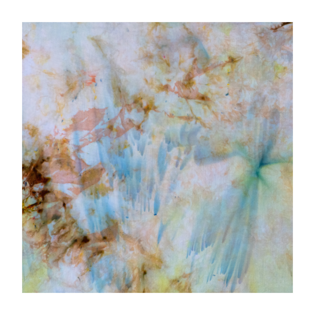 C14E1E4B-9108-4BA4-9413-3C861A4B8C76.png