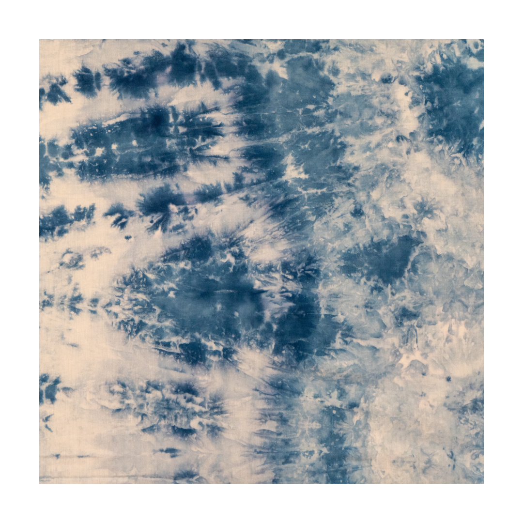 0C8B9347-7832-4CB8-B952-E96C87D68A5B.png