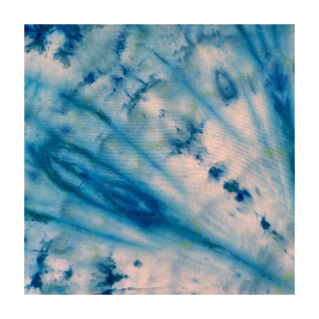 8A06DE91-A4B0-4E7A-9F04-EBF9872BE87F.png