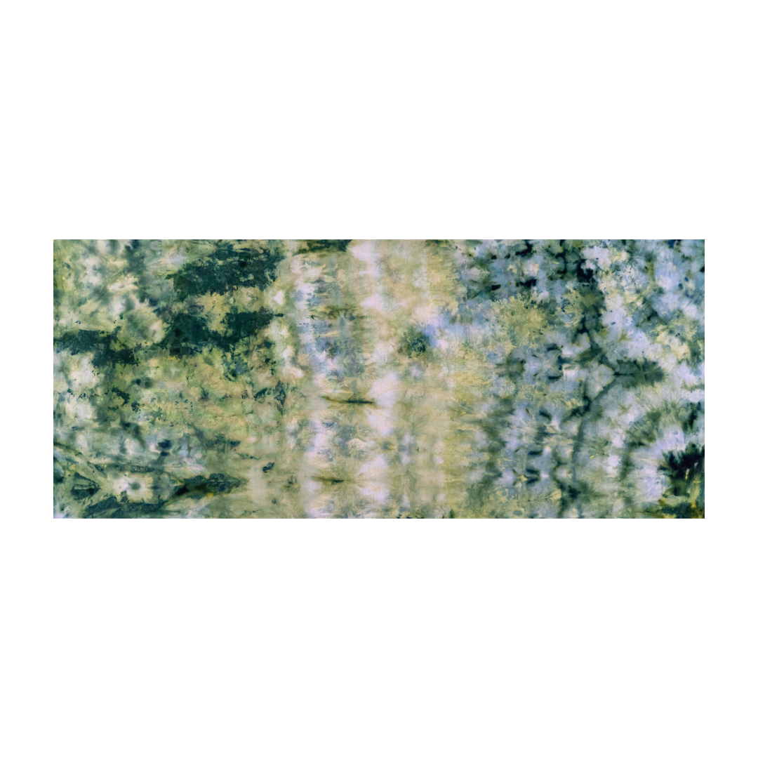 38CE8779-5B8C-48CA-A925-E472A78584AA.png