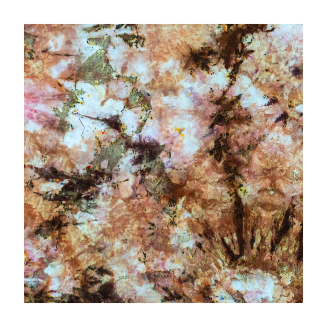 B50141AA-748B-43C4-BB26-0E0AFB36BE2F.png