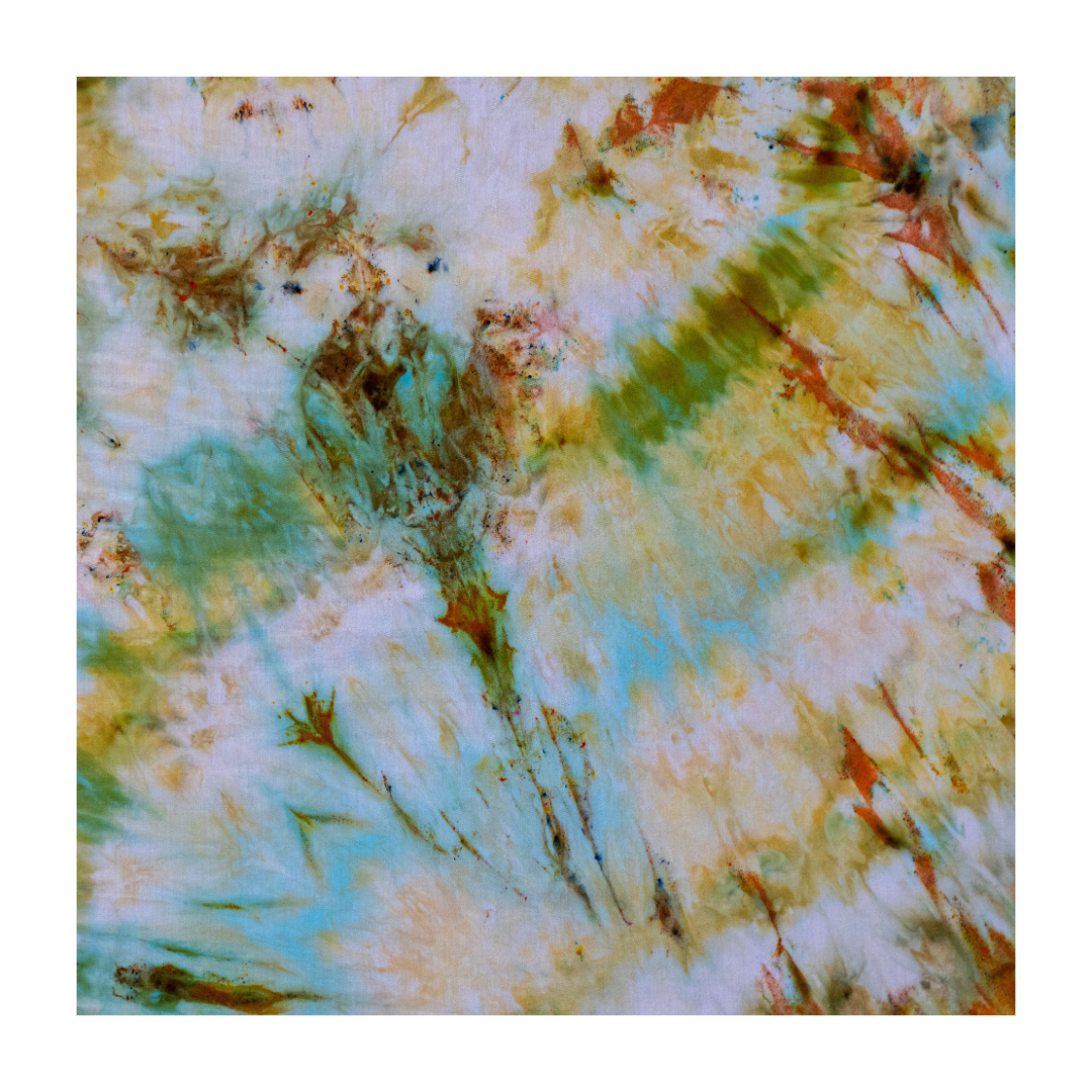D3CAA449-D776-40F7-8E41-132A0BABA94E.png