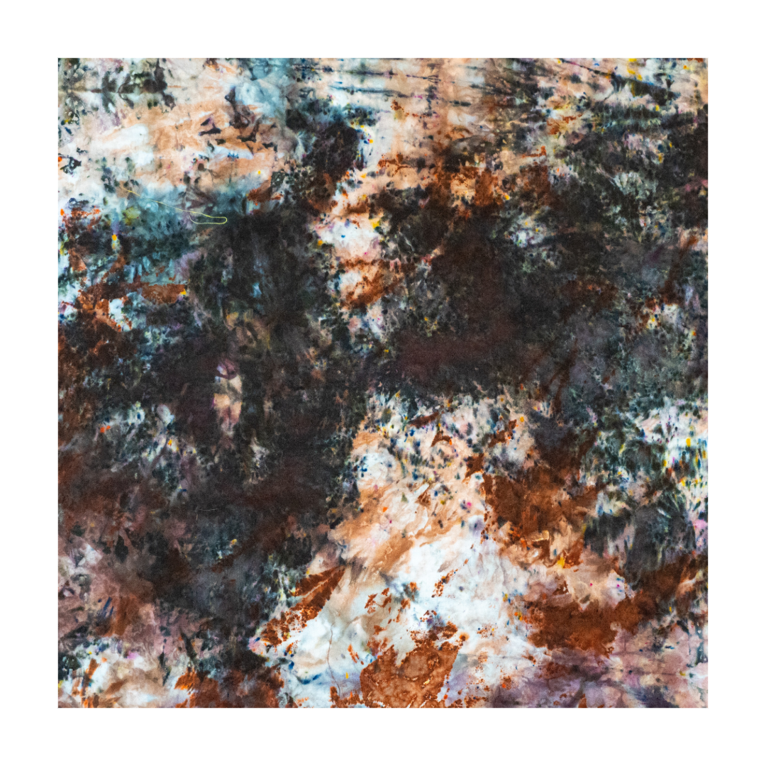 5D9812CF-402E-4AA4-95A1-E9551DE5B3DA.png