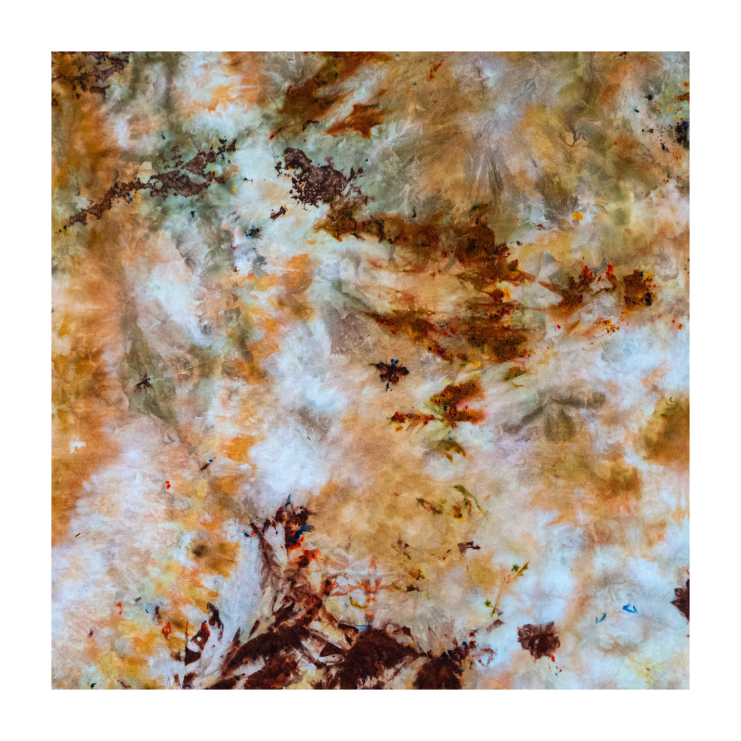 2612C896-E1D4-428F-9F6D-49EA456F64EB.png