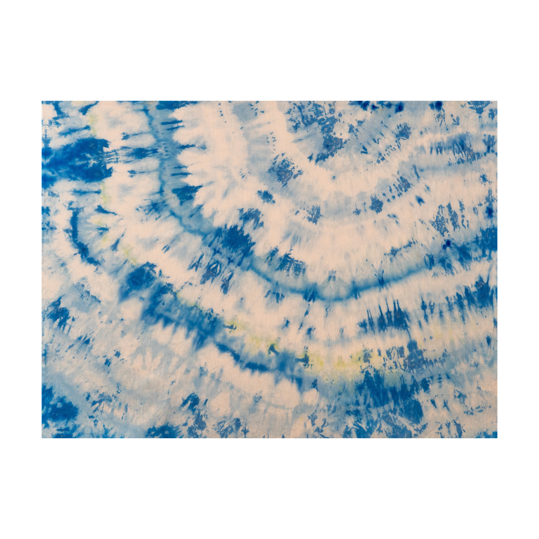 56A7528E-0DDB-422F-868C-3008FF9FD6F9.png