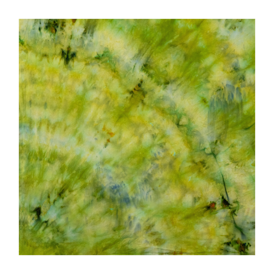 752B6CB9-C91F-42E6-B99E-28D73E7D04E4.png