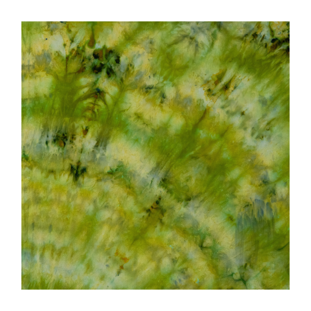 053CDB8D-0225-4182-A474-907320B6592A.png