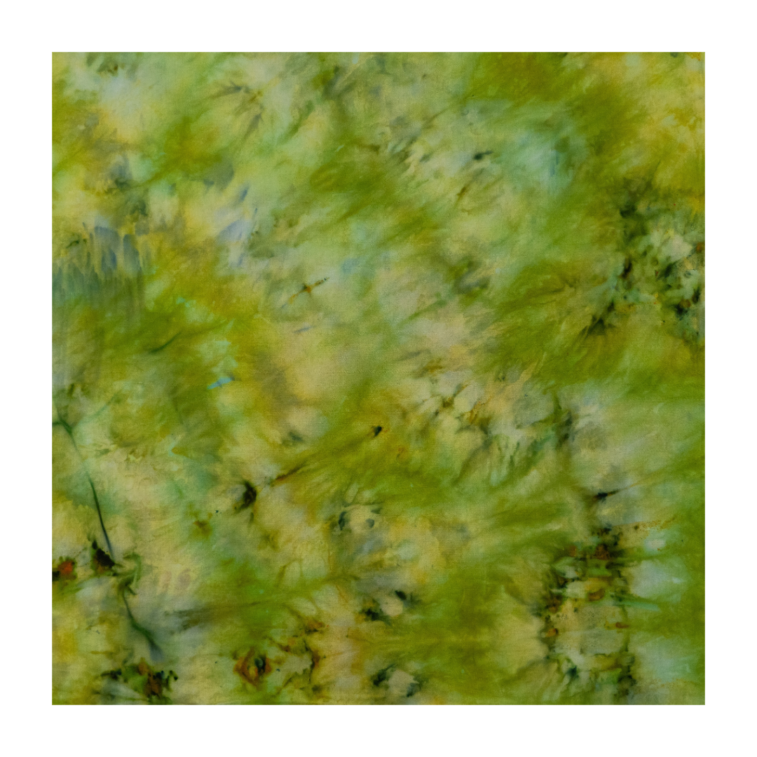14D4BC4A-0906-4CF3-9897-36167A7C9994.png